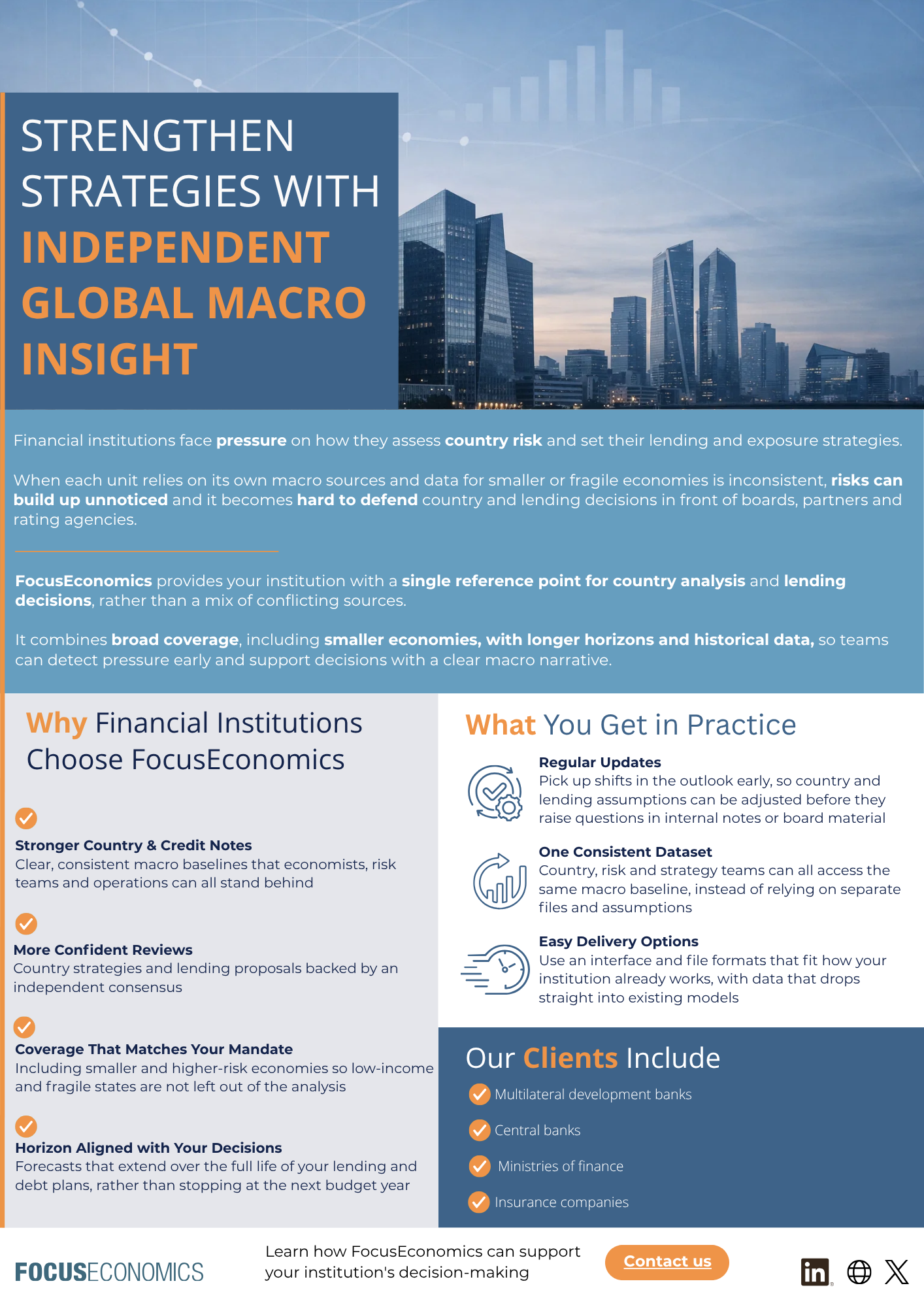 FocusEconomics one-pager, Financial Institutions industry